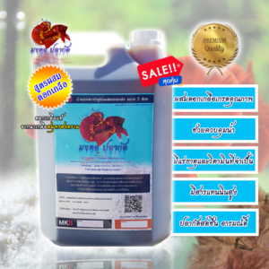น้ำหมักใบหูกวาง สูตรผสมดอกเกลือ สูตรพิเศษ สำหรับปลากัด และปลาสวยงาม (ขนาด 5 ลิตร)