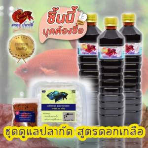 ชุดดูแลปลากัด สูตรดอกเกลือ (สามารถใช้เลี้ยงปลาได้เกือบ 2-3 เดือน)